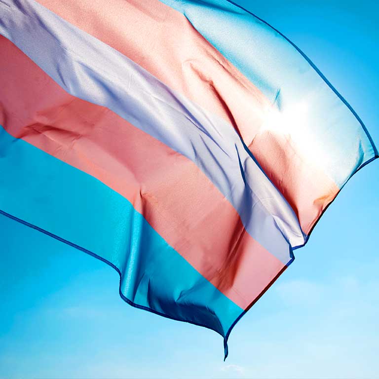 Trans Flag